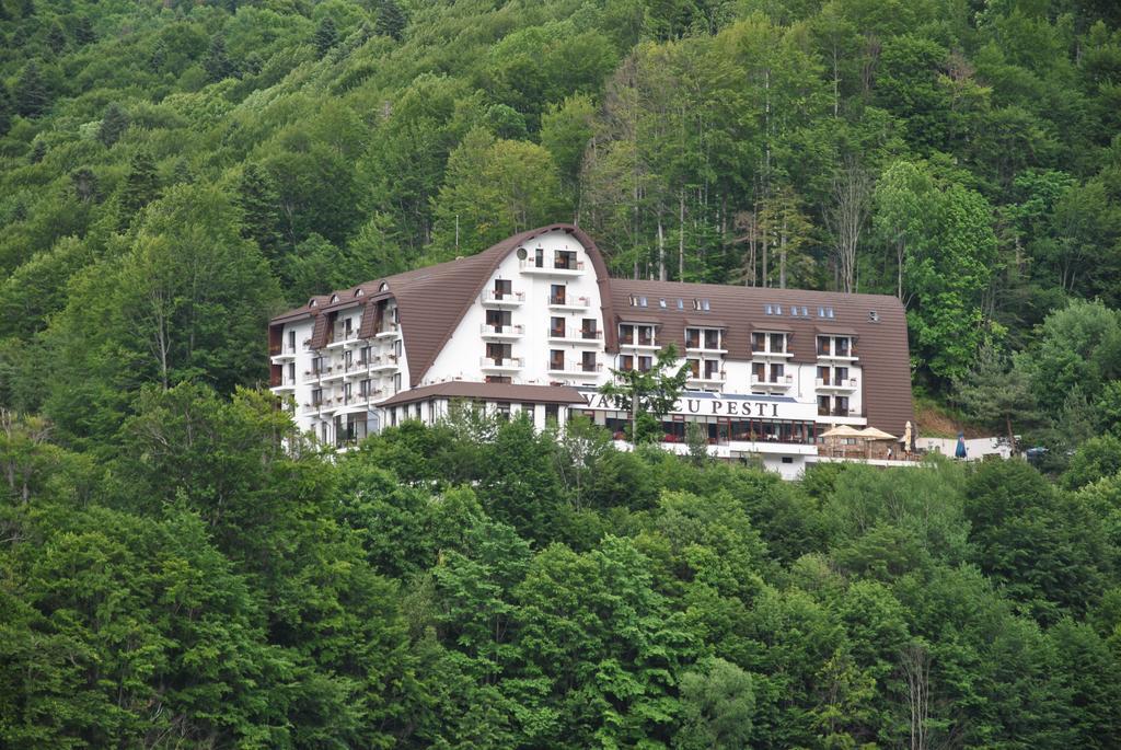 Hotel Valea Cu Pesti Căpăţîneni-Ungureni Exterior foto